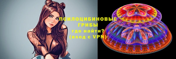 МДПВ Армянск