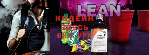 ПСИЛОЦИБИНОВЫЕ ГРИБЫ Аркадак