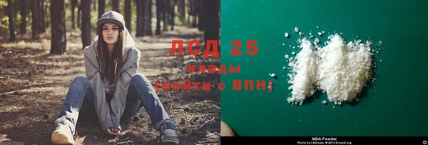 стафф Арсеньев