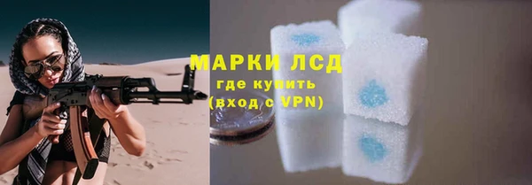 ПСИЛОЦИБИНОВЫЕ ГРИБЫ Аркадак