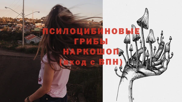 ПСИЛОЦИБИНОВЫЕ ГРИБЫ Аркадак