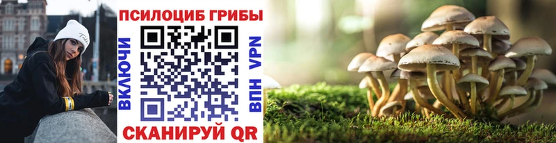 KRAKEN вход Павловский Посад Галлюциногенные грибы Psilocybine cubensis купить наркотик